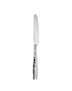RAVIGNON Coltello frutta acciaio inox lucido 21 cm